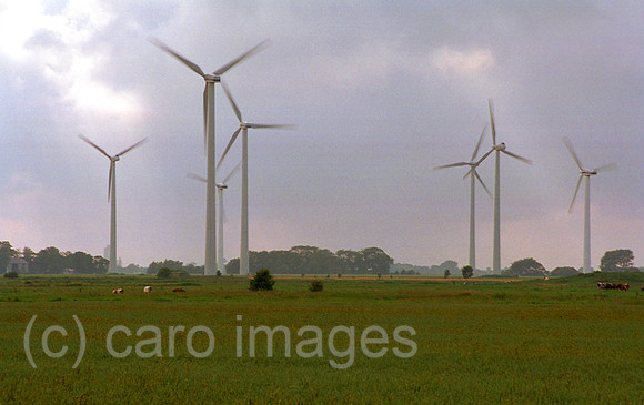 00M119008CARO.JPG