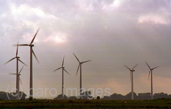 00M119017CARO.JPG