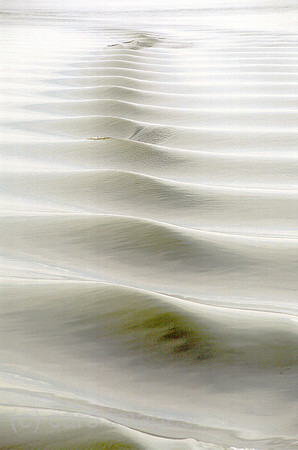 00M121606CARO.JPG