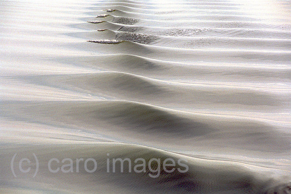 00M121608CARO.JPG
