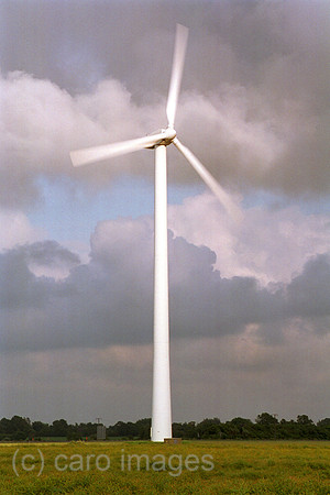 00M119016CARO.JPG