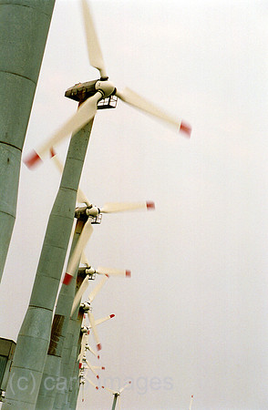 00M118835CARO.JPG