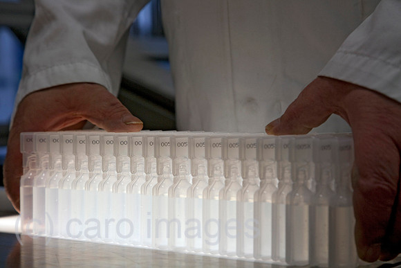 EJH10060784CAROE.JPG