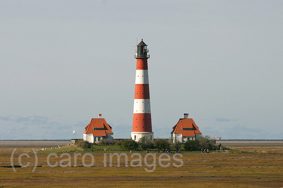 0KH031012D010CARO.JPG