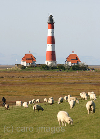 0KH031012D002CARO.JPG