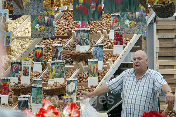 0KH040812D005CARO.JPG