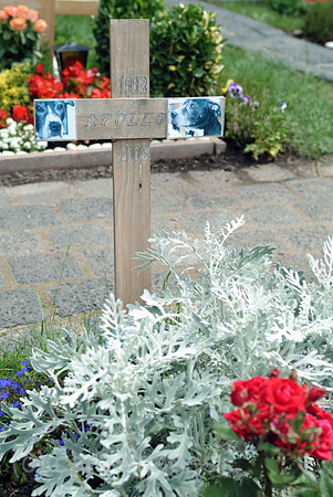 0MC070605D007CARO.JPG