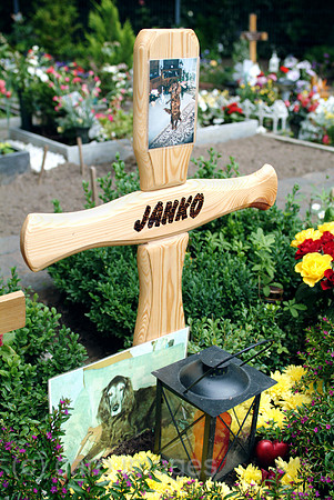 0MC070605D010CARO.JPG