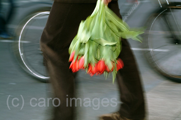0MC070306D001CARO.JPG