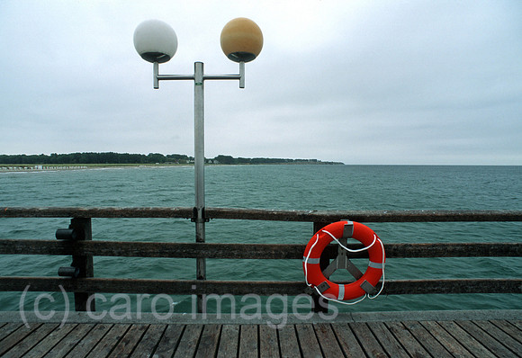 0MC0061836CARO.JPG