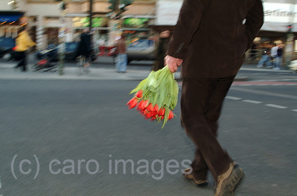 0MC070306D007CARO.JPG