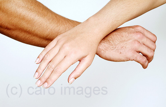 0MC061003D833CARO.JPG