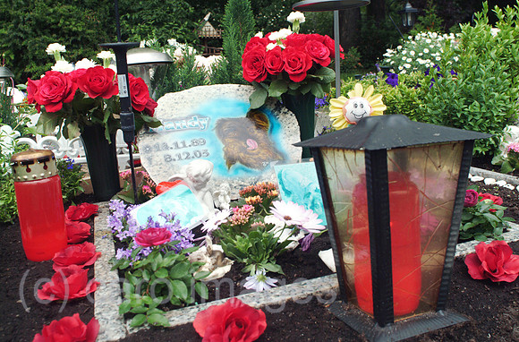0MC070605D017CARO.JPG