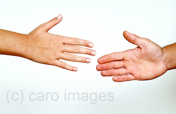 0MC061003D840CARO.JPG