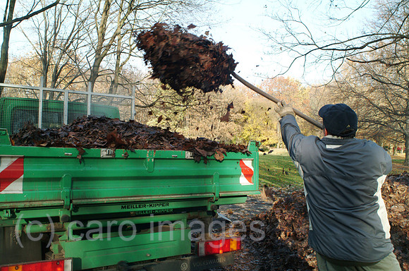0MC061120D010CARO.JPG