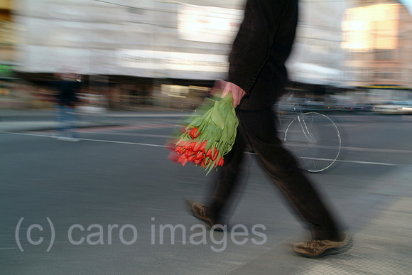 0MC070306D018CARO.JPG