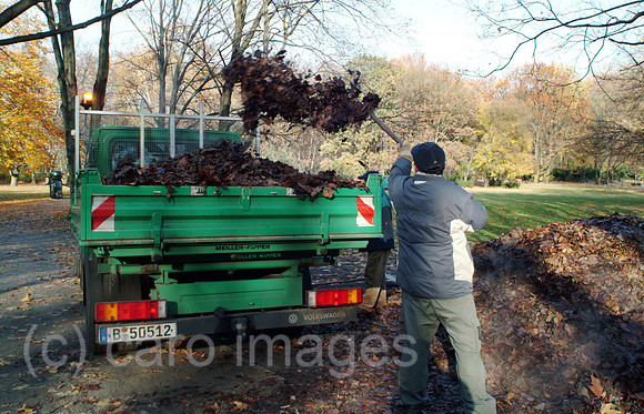0MC061120D009CARO.JPG