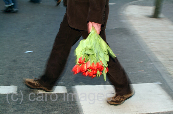 0MC070306D009CARO.JPG