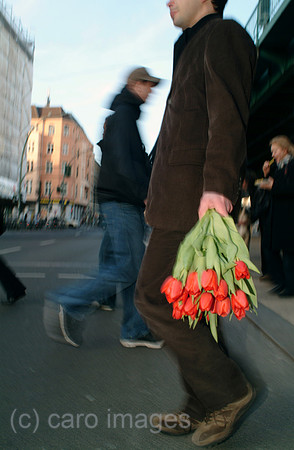 0MC070306D019CARO.JPG
