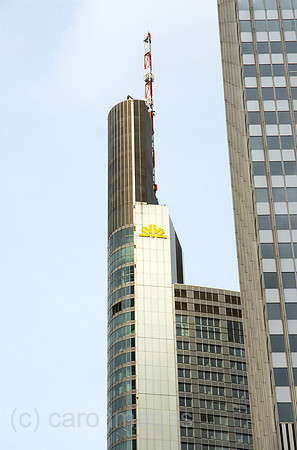 0MC070107D035CARO.JPG