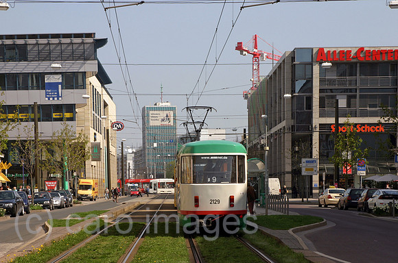 00S060425D710CAROE.JPG