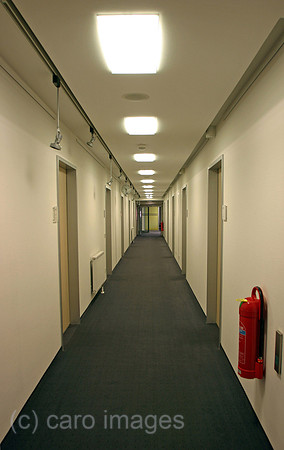 00S060425D705CAROE.JPG