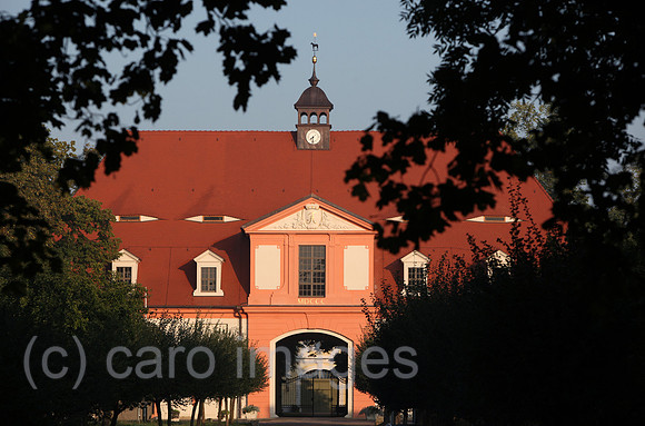00S090827D006CARO.JPG