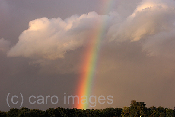 00S090913D023CARO.JPG