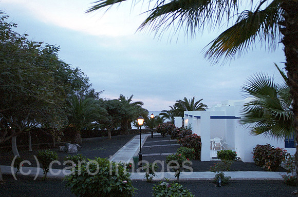 00M073022CARO.JPG