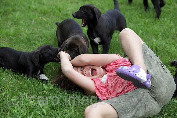 00S090813D012CARO.JPG