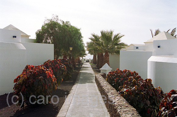 00M073137CARO.JPG