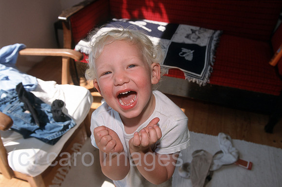 0KD002331CARO.JPG