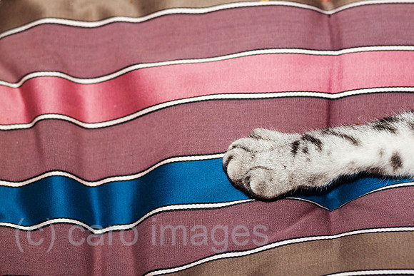 0GB120724D103CARO.JPG