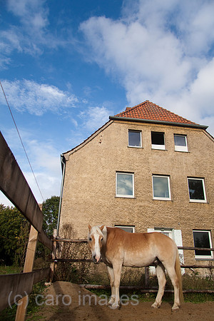 0GB111008D001CARO.JPG