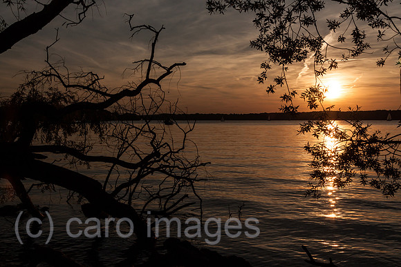 0GB120909D132CARO.JPG