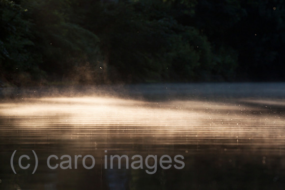 0GB120617D128CARO.JPG