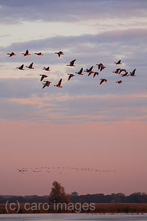 0GB121003D124CARO.JPG
