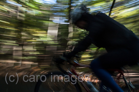 0GB121014D101CARO.JPG