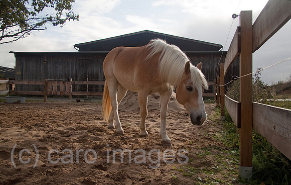 0GB111008D008CARO.JPG