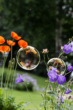 0GB120703D101CARO.JPG