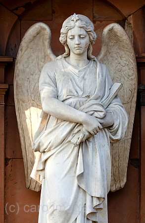 0BG111121D038CAROE.JPG