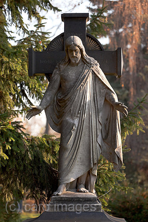 0BG111121D030CAROE.JPG