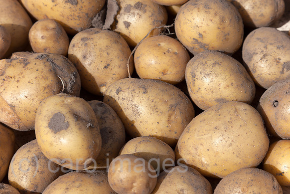 0BG120811D033CAROE.JPG