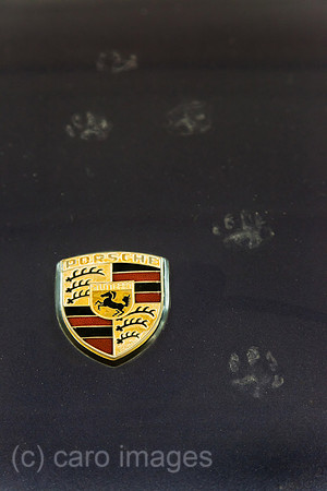 0BG111124D338CAROE.JPG