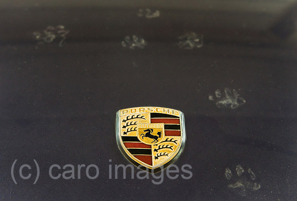 0BG111124D348CAROE.JPG