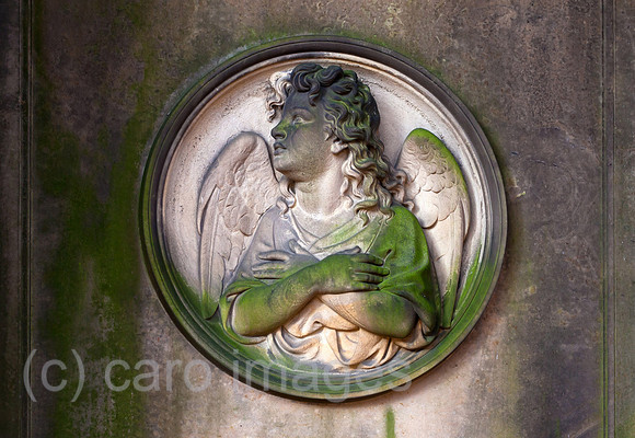 0BG111121D021CAROE.JPG