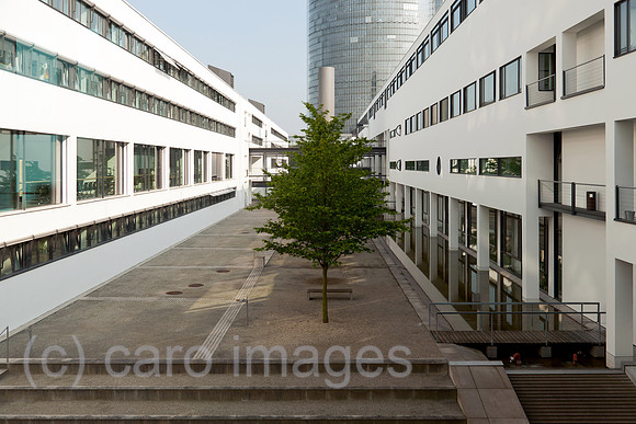 0BG120522D002CAROE.JPG