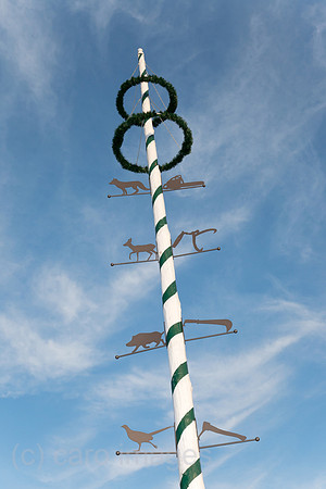 0BG121008D003CAROE.JPG