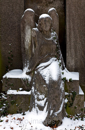 0BG120209D015CAROE.JPG