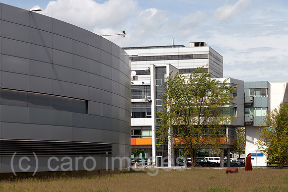 0BG120511D035CAROE.JPG
